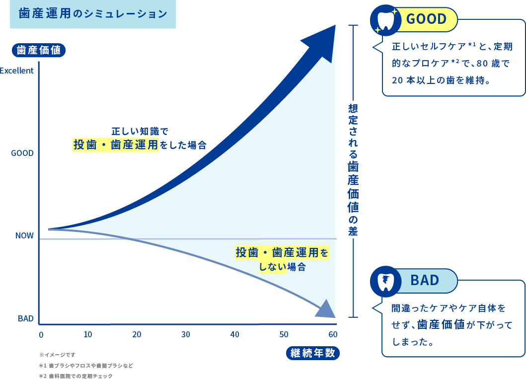 正しい知識で投歯・歯産運用をした場合、正しいセルフケアと、定期的なプロケアで、80歳で20本以上の歯を維持。投歯・歯産運用をしない場合、間違ったケアやケア自体をせず、歯産価値が下がってしまった。